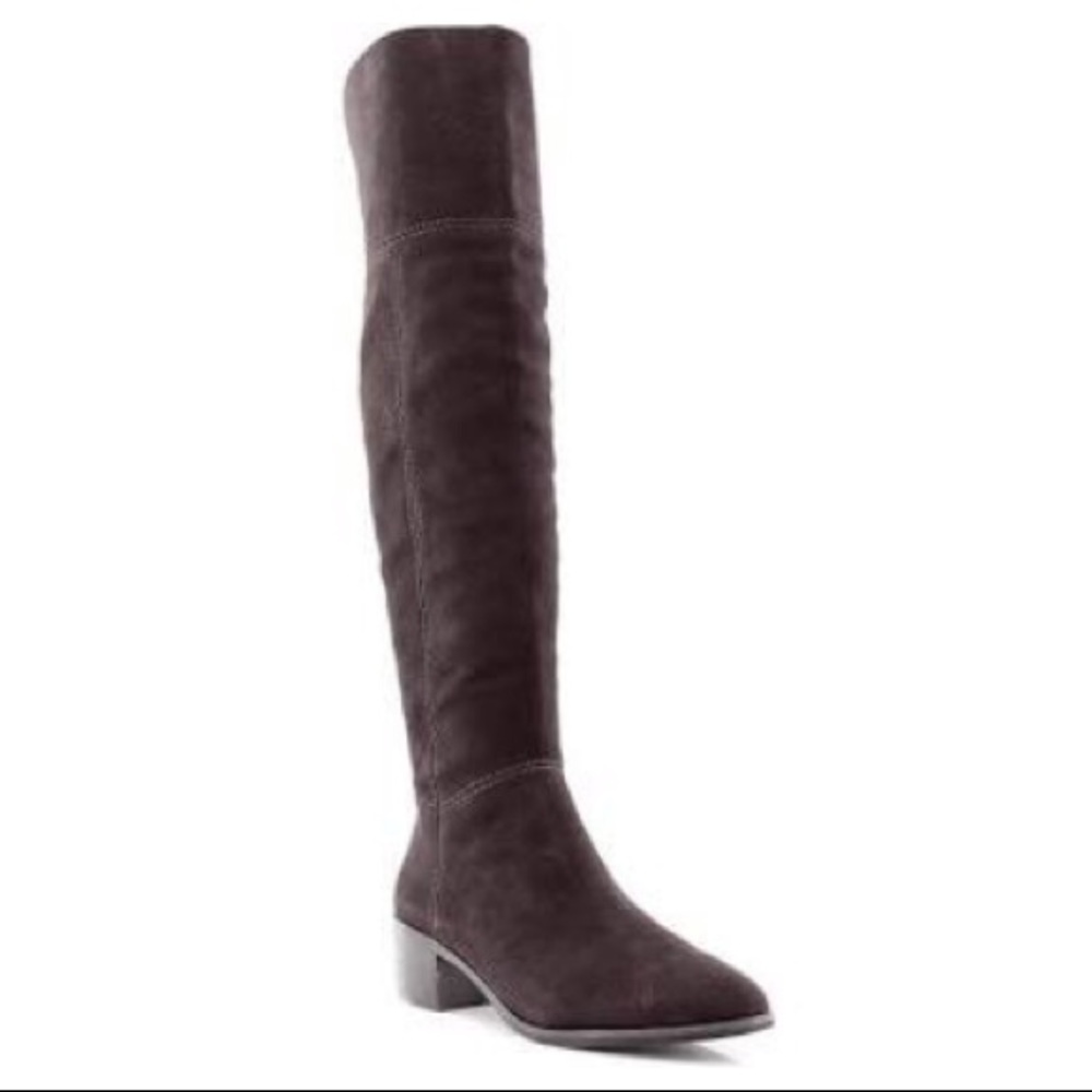 COACH Lucia Over the Knee Suede Boots